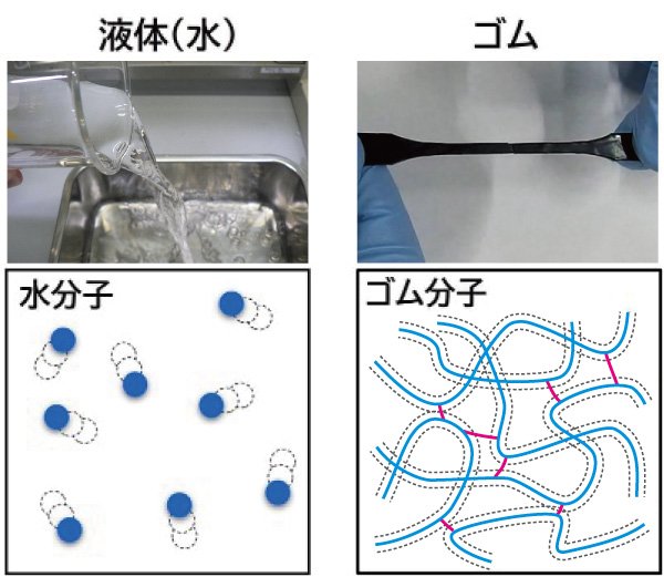 水分子とゴム分子の構造比較図