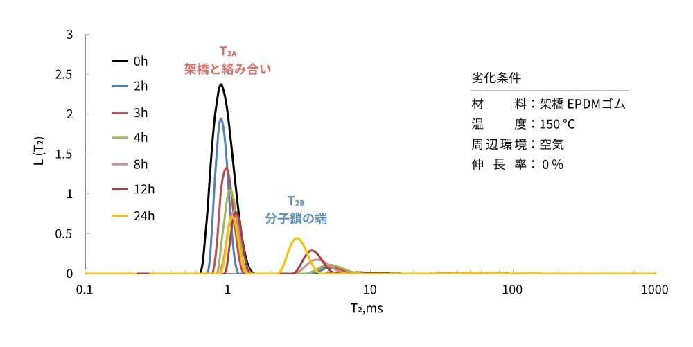 EPDMゴムの劣化に伴う緩和時間（T2）分布を示すグラフ。縦軸は緩和時間成分の強度L(T2)、横軸は緩和時間T2（ms）を示しています。異なる劣化時間（0時間、2時間、3時間、4時間、8時間、12時間、24時間）に基づくデータがカラーコードで分けられ、0時間は黒、2時間は青、3時間は赤、4時間は緑、8時間は茶、12時間は紫、24時間は橙で示されています。グラフには「T2A 架橋と絡み合い」と「T2B 分子鎖の端」というラベルがあり、それぞれの緩和時間成分のピーク位置が示されています。右側には劣化条件として「材料: 架橋EPDMゴム」、「温度: 150℃」、「周辺環境: 空気」、「伸長率: 0%」が記載されています。
