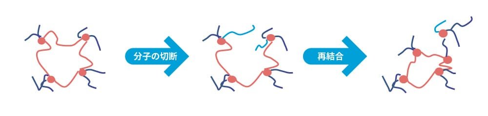 高分子材料の劣化プロセスを示す図。図の左側には、架橋点（赤い円）で結ばれた高分子鎖（赤い線）が描かれています。中央の矢印には「分子の切断」と書かれ、その右側には高分子鎖が部分的に切断された状態のイラストがあります。さらに右の矢印には「再結合」と書かれ、その右側には切断された高分子鎖が再結合して新たな架橋点を形成した状態のイラストが描かれています。この図は高分子材料の劣化と再結合のプロセスを視覚的に示しています。