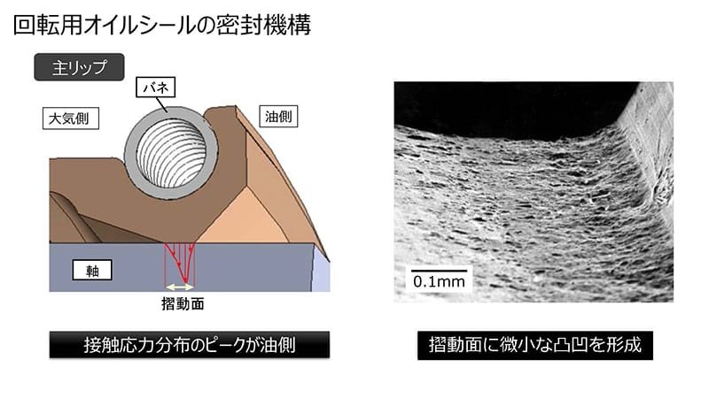 回転用オイルシールの密封機構の詳細図