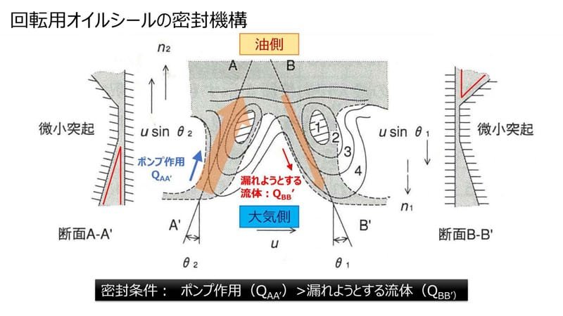 回転用オイルシールの密封機構の詳細図