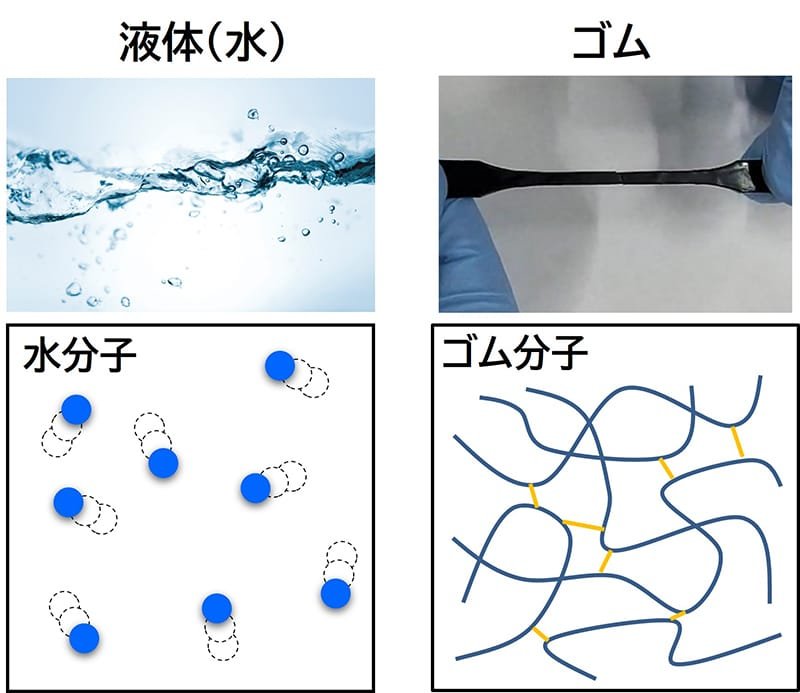 水分子とゴム分子の構造比較図