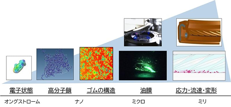 ゴムのサイズ別のイメージ図。オングストローム：電子状態→ナノ：高分子鎖、ゴムの構造→ミクロ：油膜→ミリ：応力、流速、変形